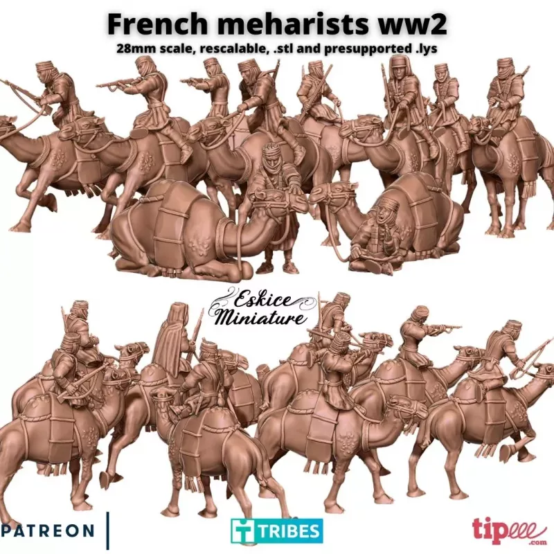 10 Méharistes - Soldats Nomades de l'Armée Française