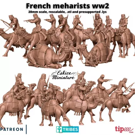 10 Méharistes - Soldats Nomades de l'Armée Française