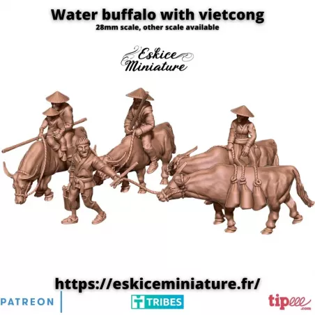 4 Buffles d'Eau avec Vietcong