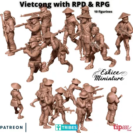 10 Vietcong avec RPD et RPG