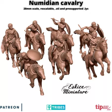 7 cavaliers numides