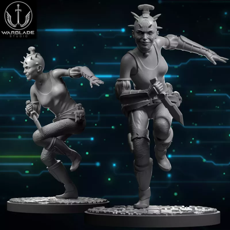 Sugi - SW Shatterpoint